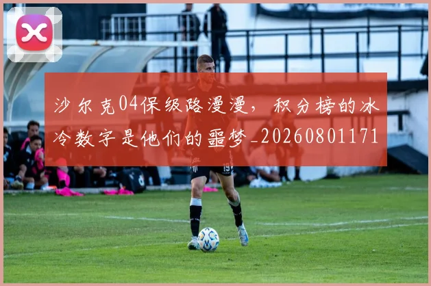 沙尔克04保级路漫漫,积分榜的冰冷数字是他们的噩梦_20260801171053