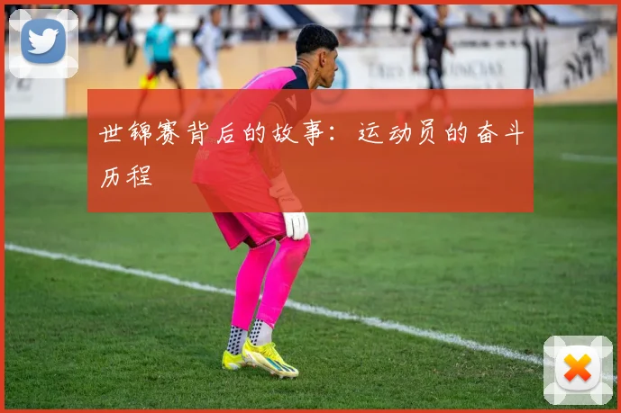 世锦赛背后的故事:运动员的奋斗历程