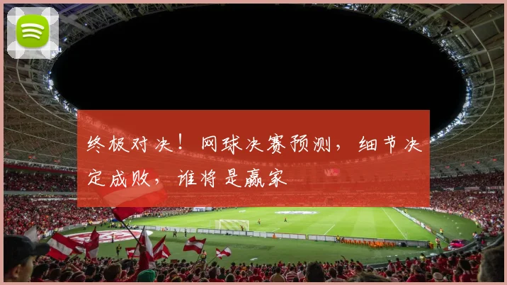 终极对决!网球决赛预测,细节决定成败,谁将是赢家